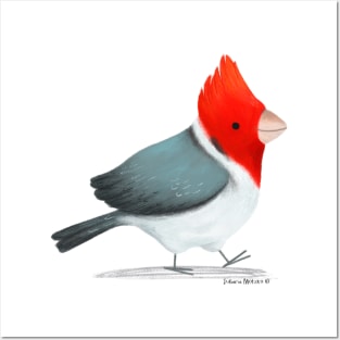 Red Crested Cardinal Bird Posters and Art